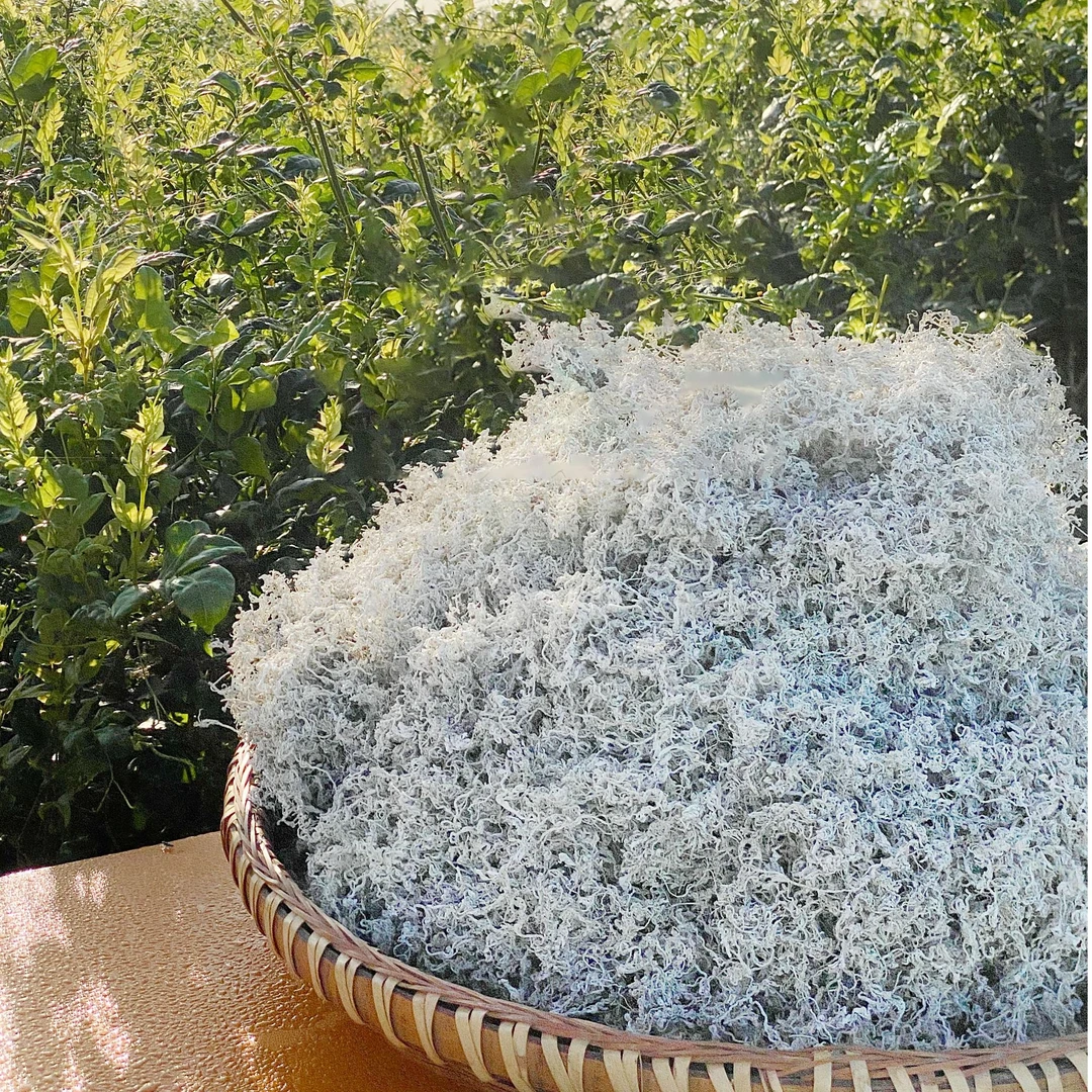 2025年龙须新茶恩施来凤藤茶龙须藤茶嫩芽茎