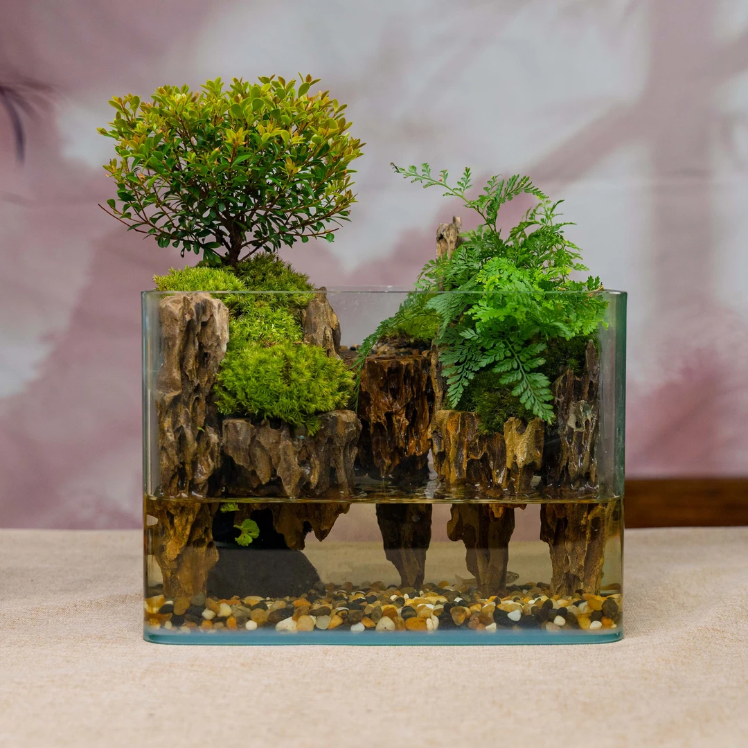 【小仙境】大方缸福禄-尺寸长25宽16高18cm成品创意桌面绿植