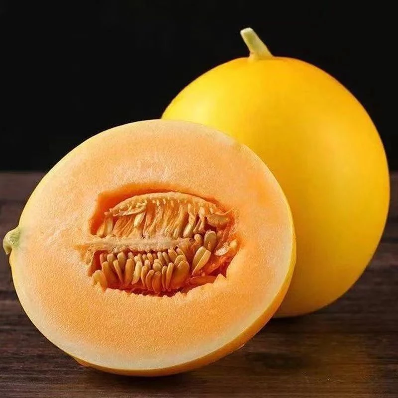 民勤蜜瓜 正宗甘肃民勤蜜瓜沙漠蜜瓜甜瓜