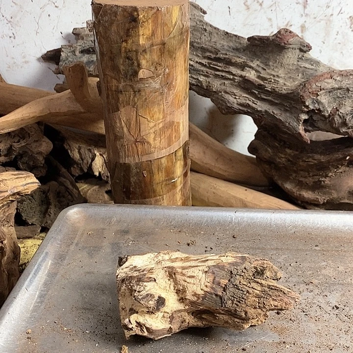 黄花梨/降香黄檀钱*四