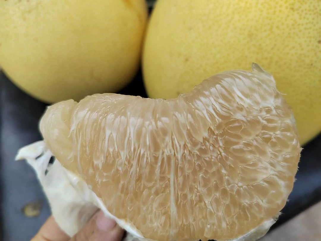 重庆合川农户家柚子现摘生鲜现发脆甜水果多汁2个包邮