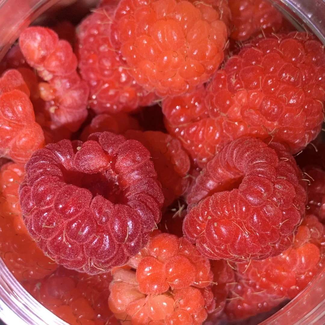 [自营]黑龙江新鲜树莓 现摘现发 加蜂蜜发货