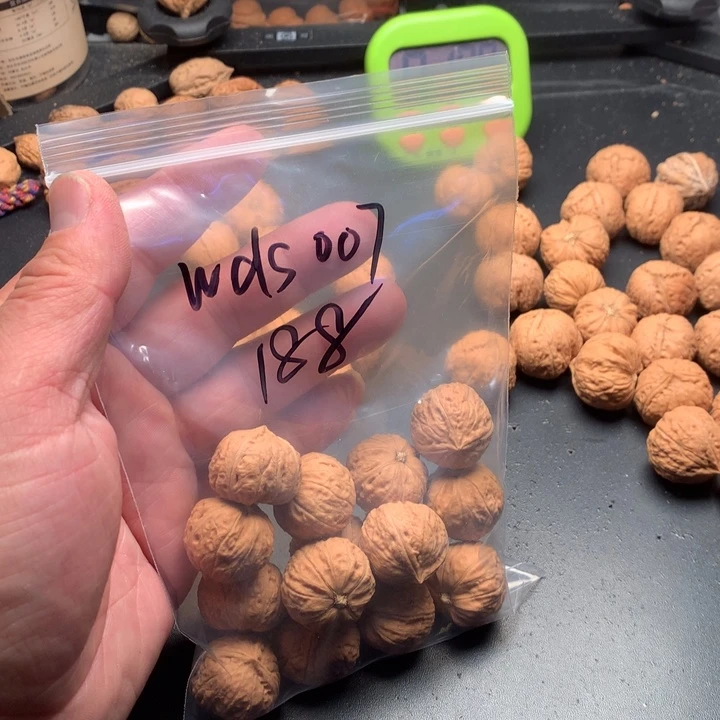 文玩核桃吊坠w****7野生精品小核桃散籽