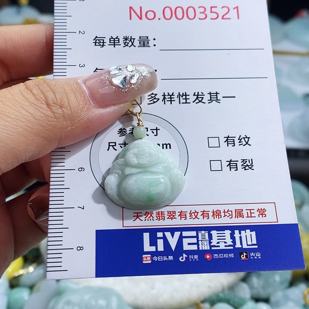 翡翠未镶嵌颈饰3521