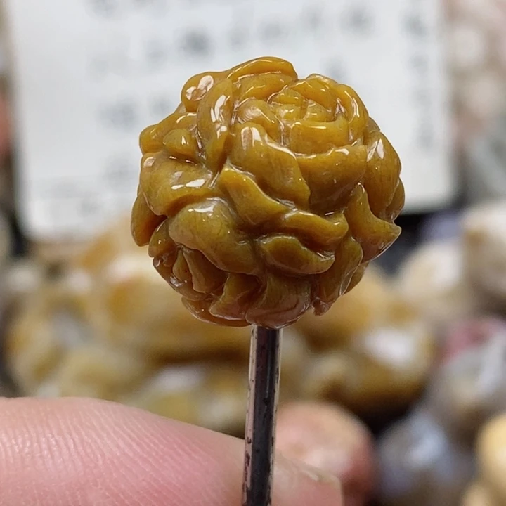 颈饰未镶嵌硅化珊瑚（珊瑚玉）