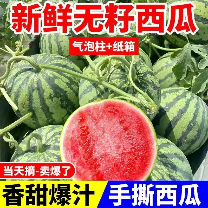 6-7斤精品美都西瓜