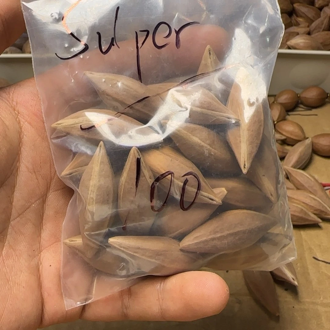 【闪购商品】橄榄核手串/手链ડ****ꪀ11111111