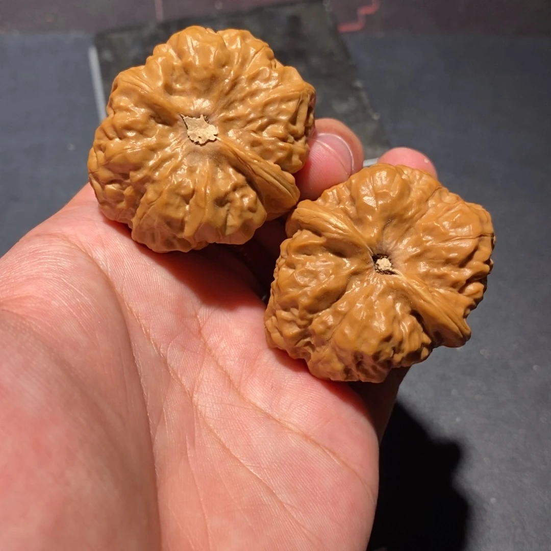 把件文玩核桃会****鸟299000000000