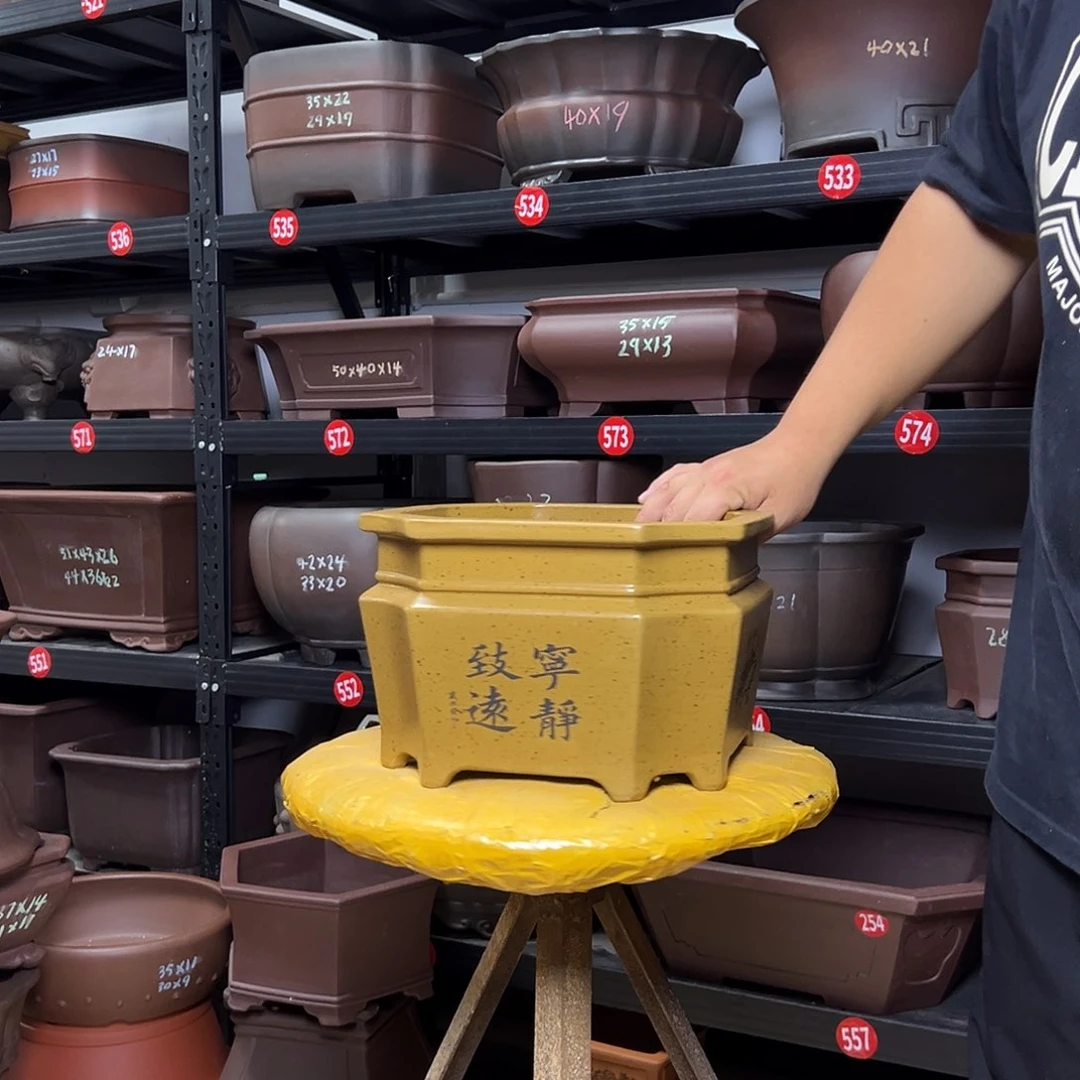 紫砂花盆呜呜呜呜呜好