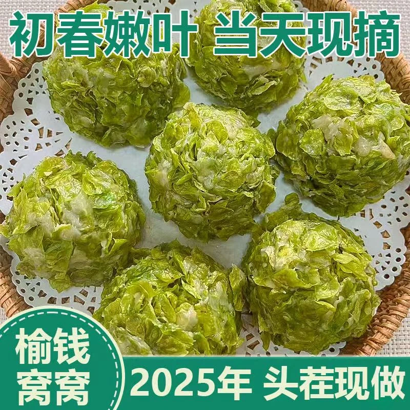 榆钱窝窝头野菜粗粮早餐新鲜手工面食主食馒头菜团子榆钱杂粮窝头