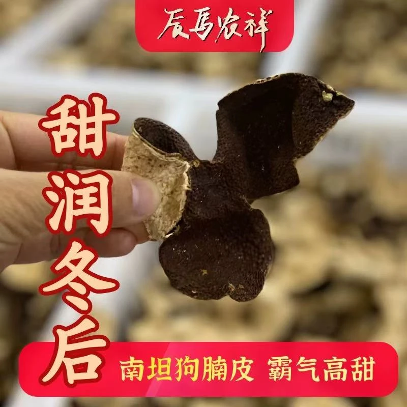 19新会产2020年梅江南坦产区冬后狗腩皮整皮泡水实惠装冬后大红