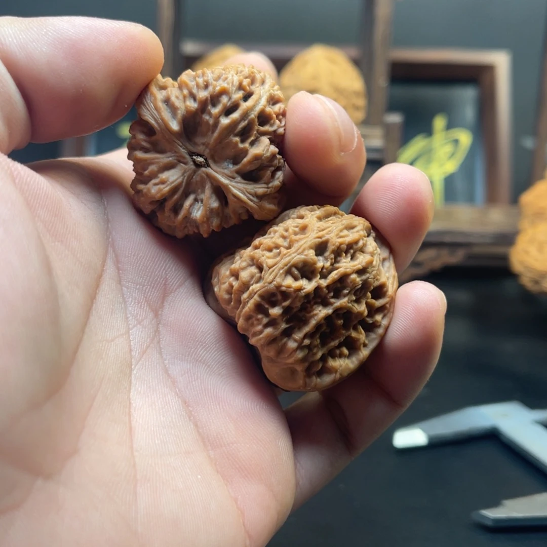 突***秃大叶紫檀（黑酸枝木类）