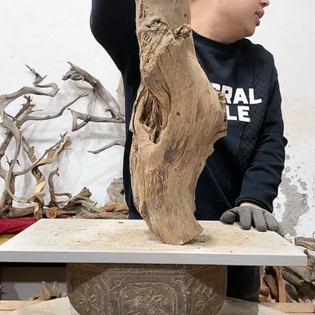 【闪购商品】柏木灰****玩我们都是好孩子