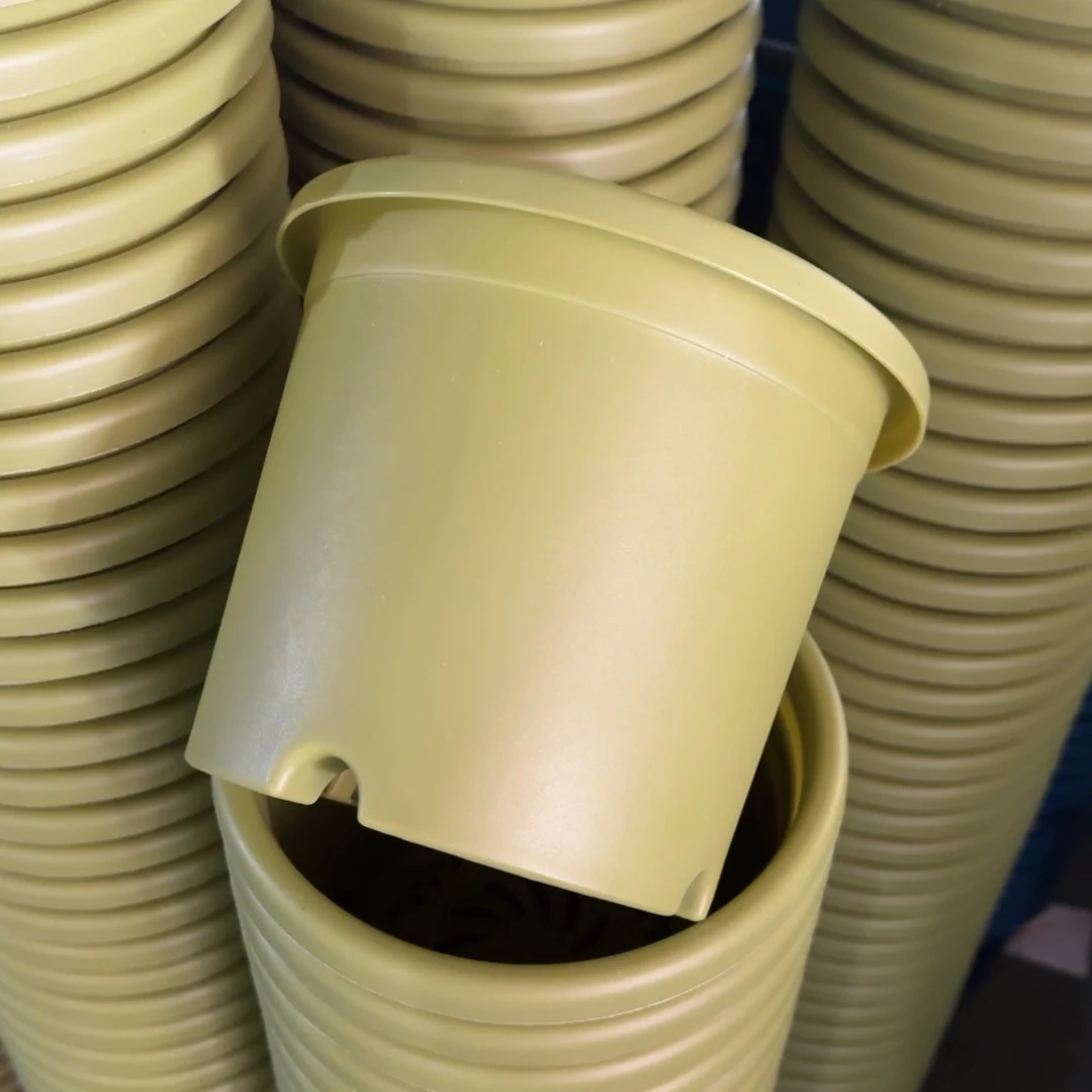 树脂特价3#无拖果绿10个