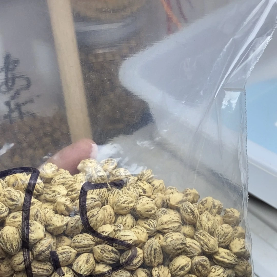 柏香籽/百香籽吊坠一****提