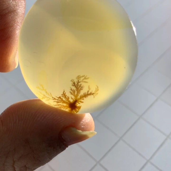 胖***鱼未镶嵌颈饰玛瑙/玉髓