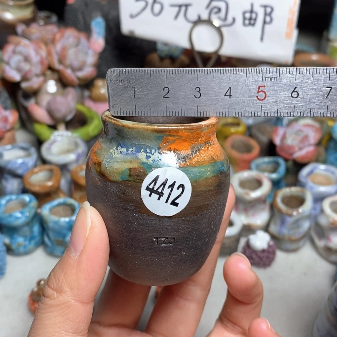 拍5送一个小礼物