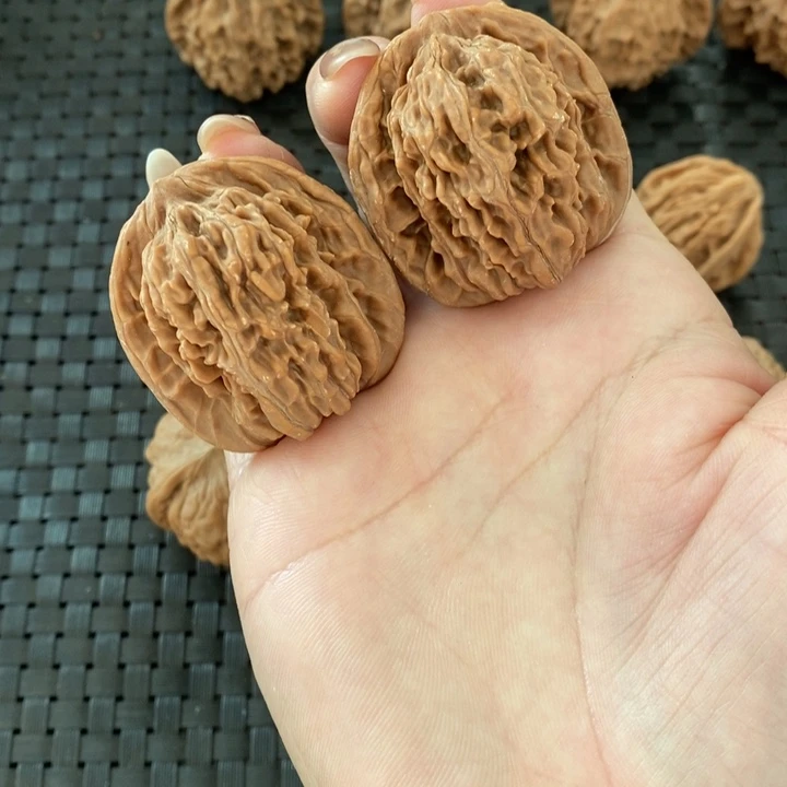 破**堂四座楼四座楼四座楼磕碰