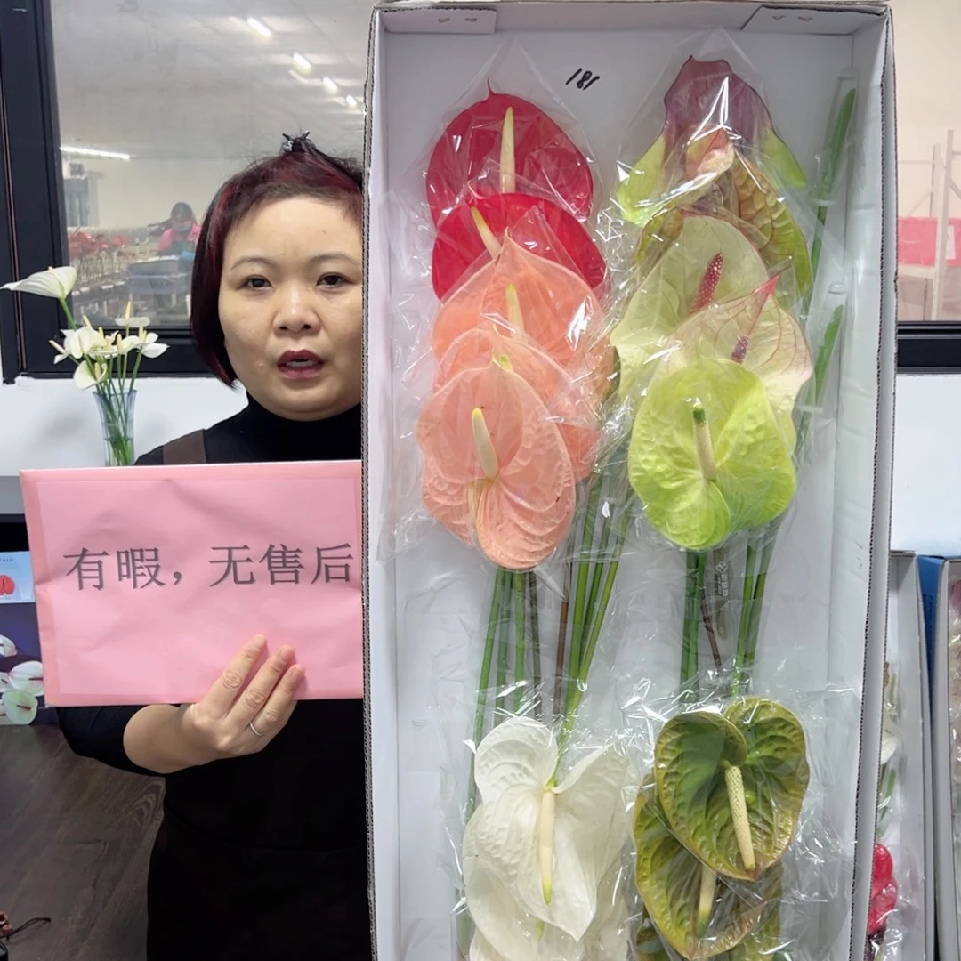 完全开放混色-18枝装无售后款181