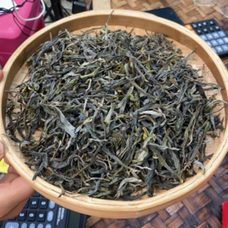 *2025年【冰岛坝歪65号·大树】晒青茶【生散茶】-5月28日【10】