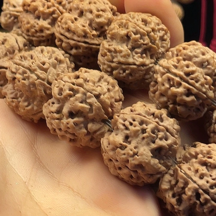 金刚菩提吊坠原生态两条