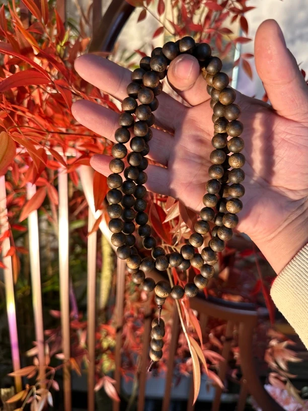 沉香一香传三代母树09多圈40克棋楠沉香古树高货多样性发一条