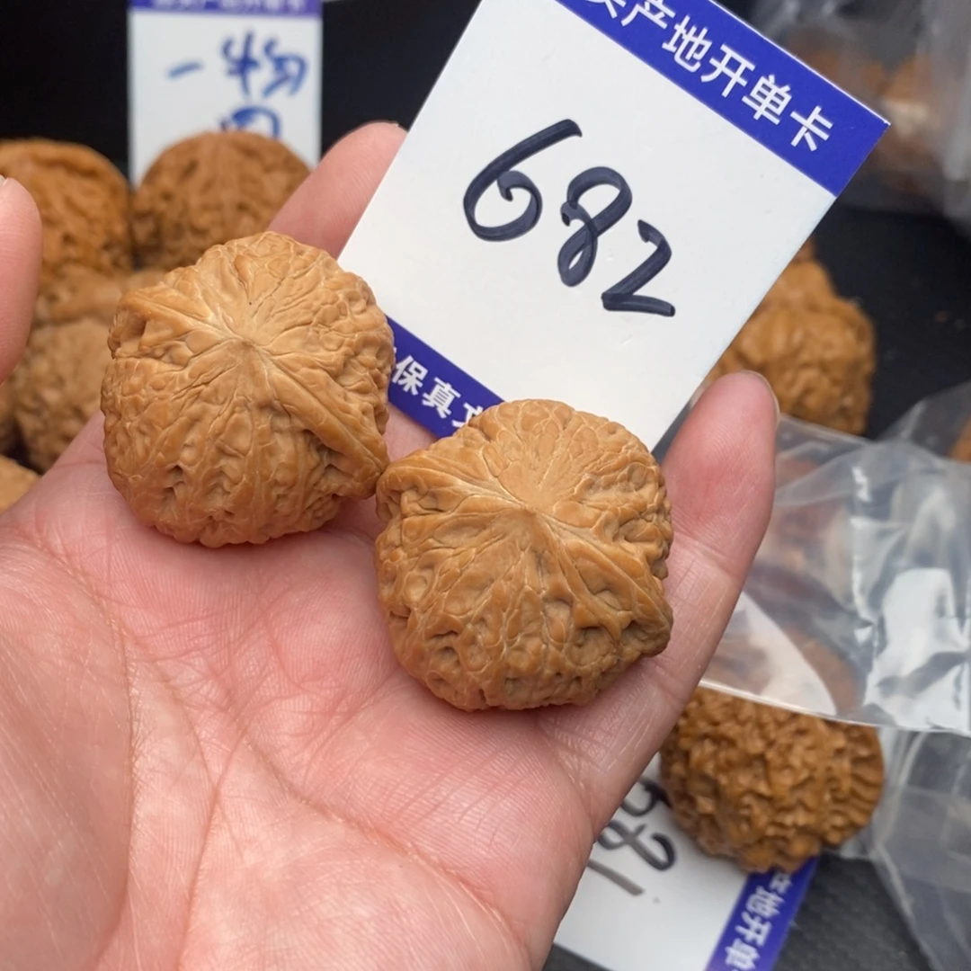 ****奇核桃铁锤妹妹37全mom