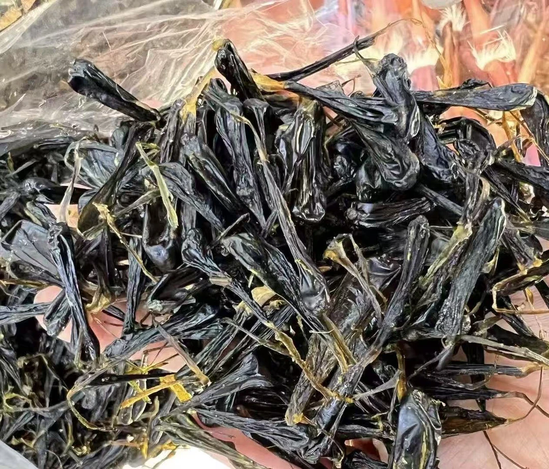 【土特产-蛇/胆】现收初级农产品