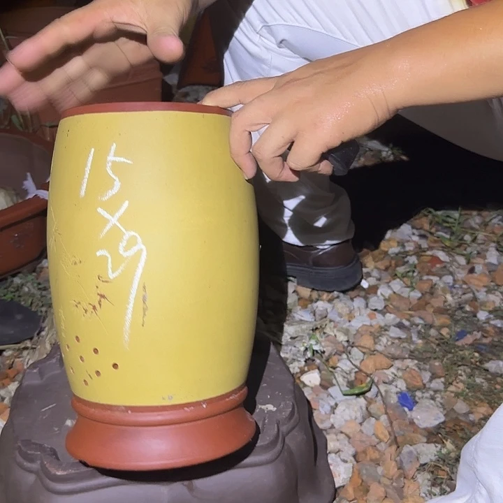 紫砂花盆紫砂花盆花盆盆景盆