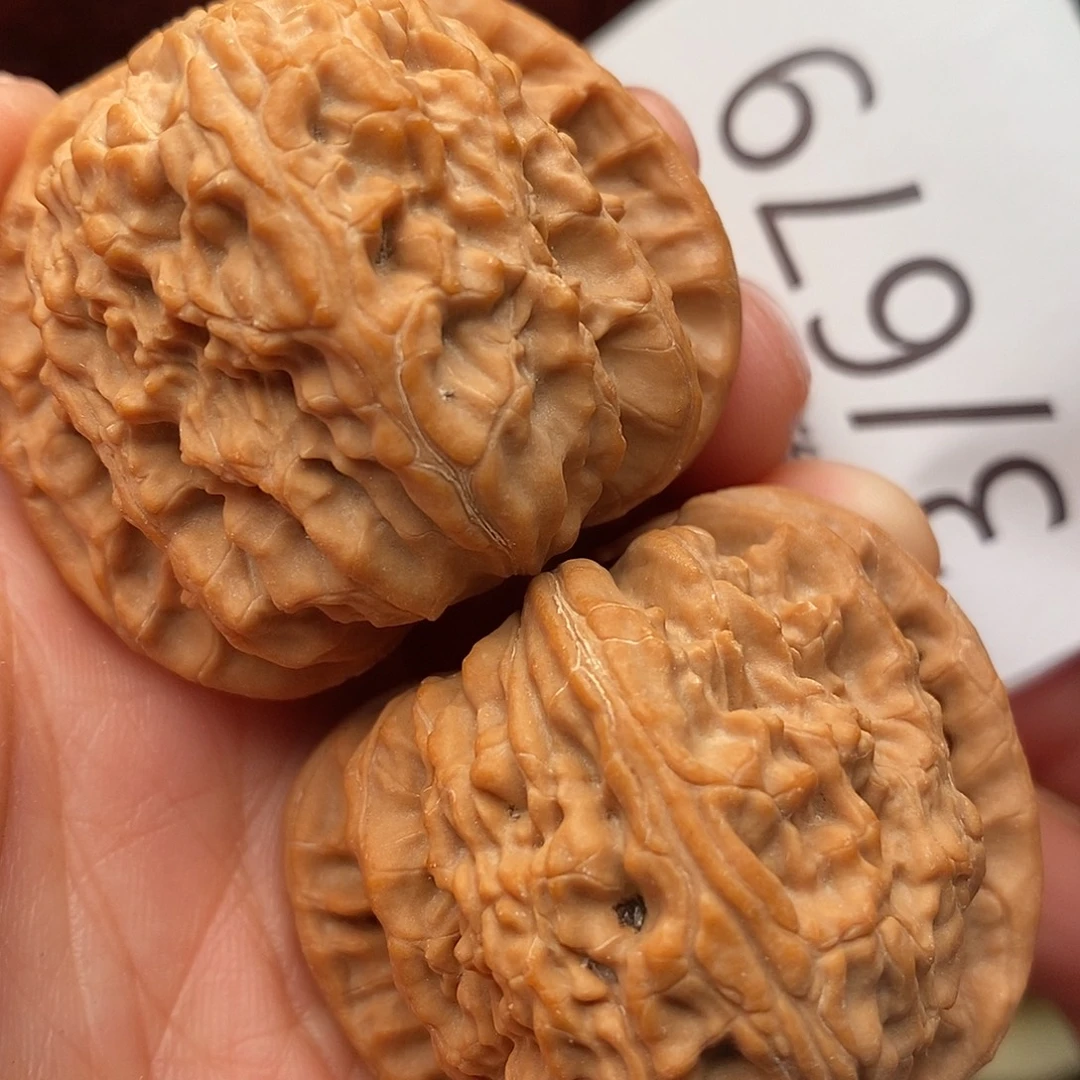 文玩核桃把件42白狮子