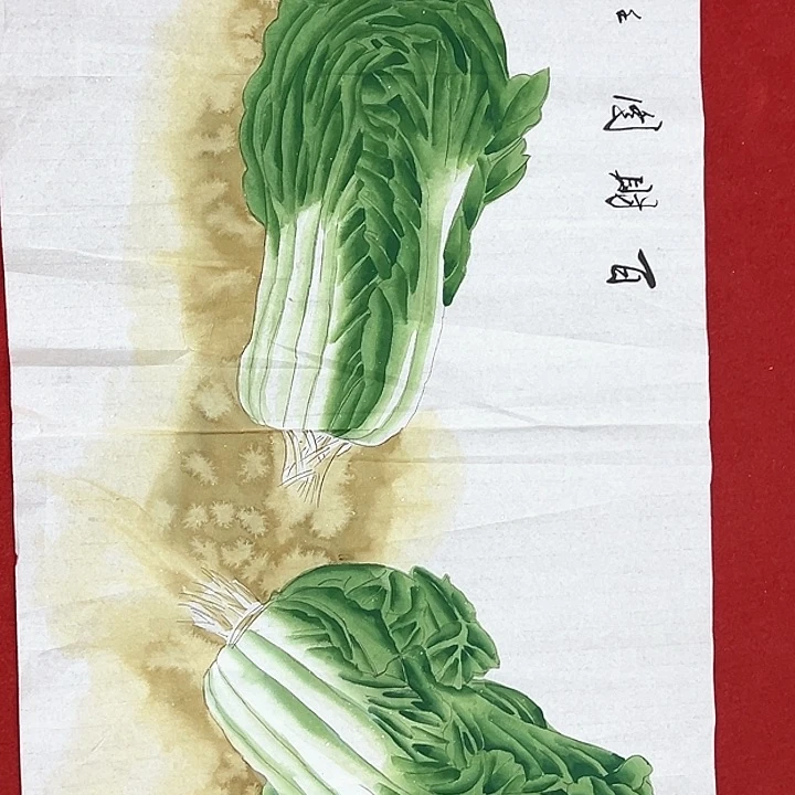 横款福利来了来了来了