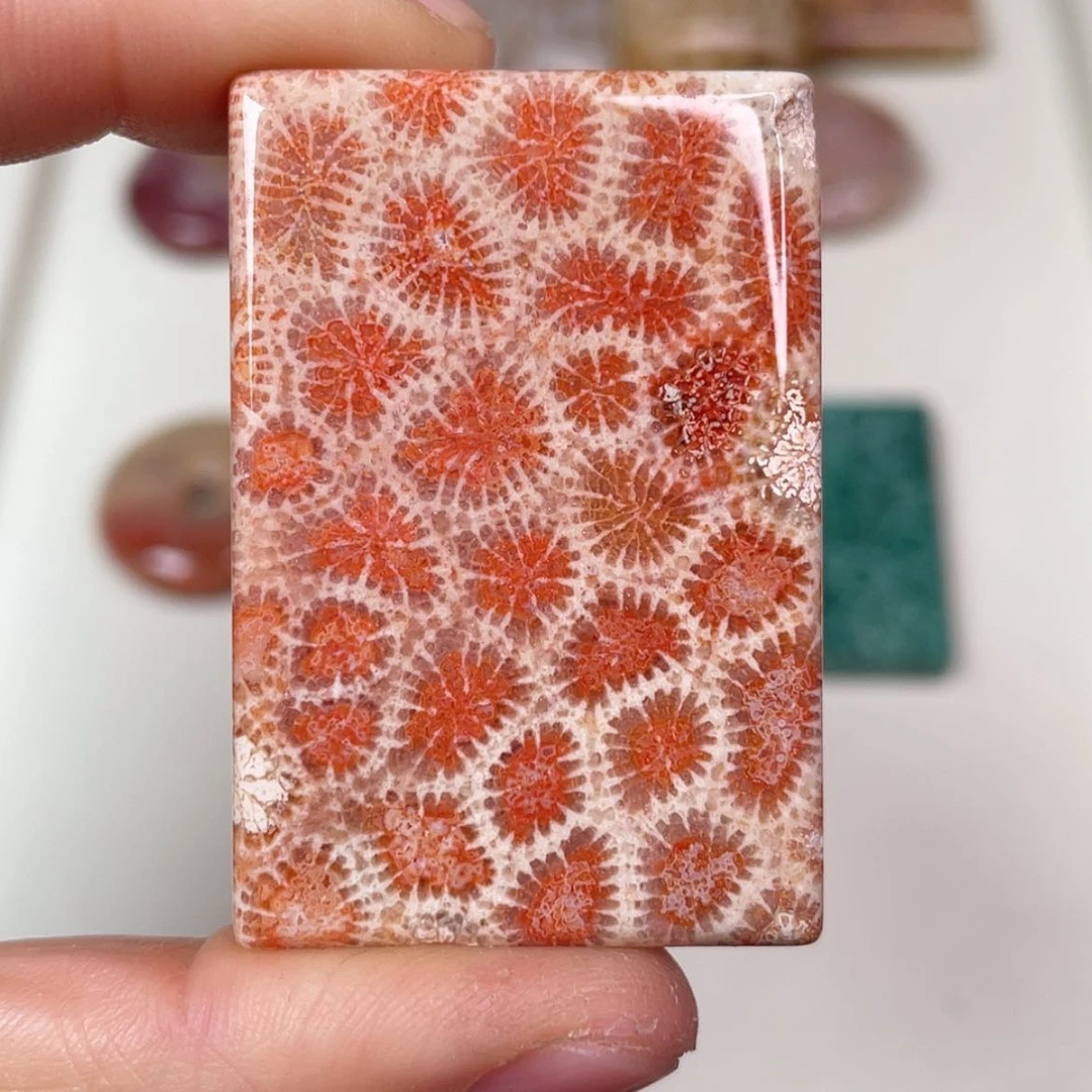 【闪购商品】未镶嵌吊坠(赠链)硅化玉