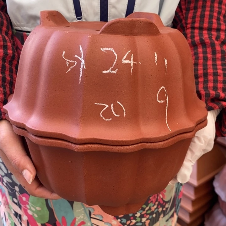 花盆紫砂只顾看电视