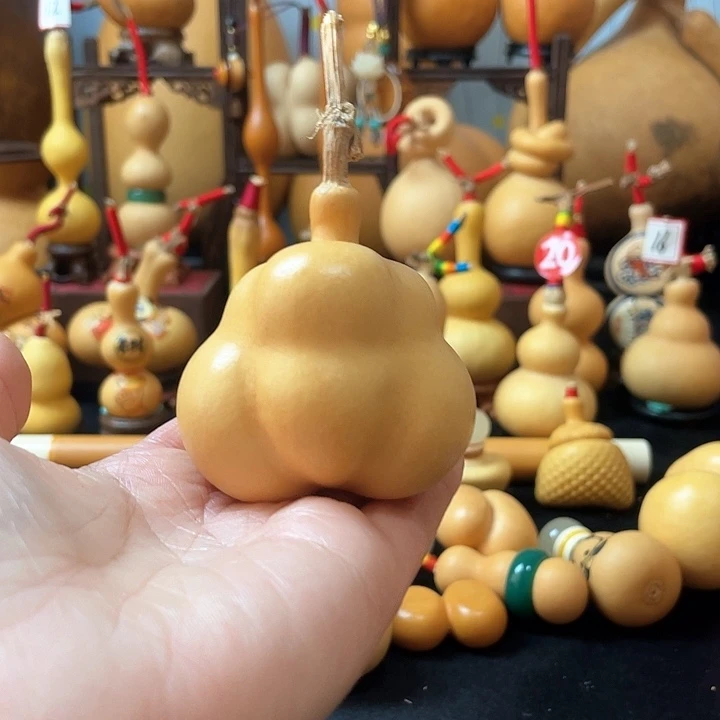 尚****猫葫芦岛连山区……去除