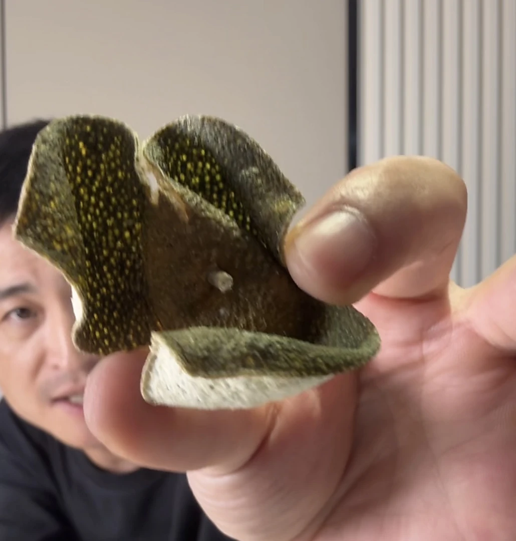【高货小青】2024年新会小青皮薄荷口感带清甜送礼自留非常顶