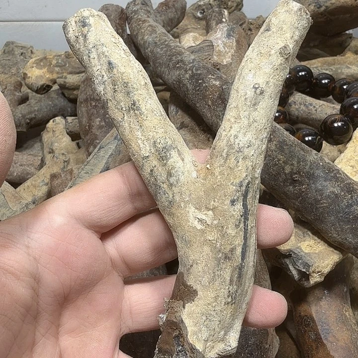 803啊啊啊啊啊啊啊啊啊