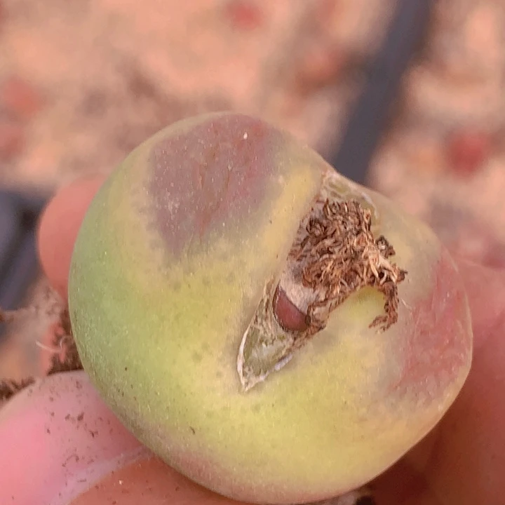 178888888808889585855658