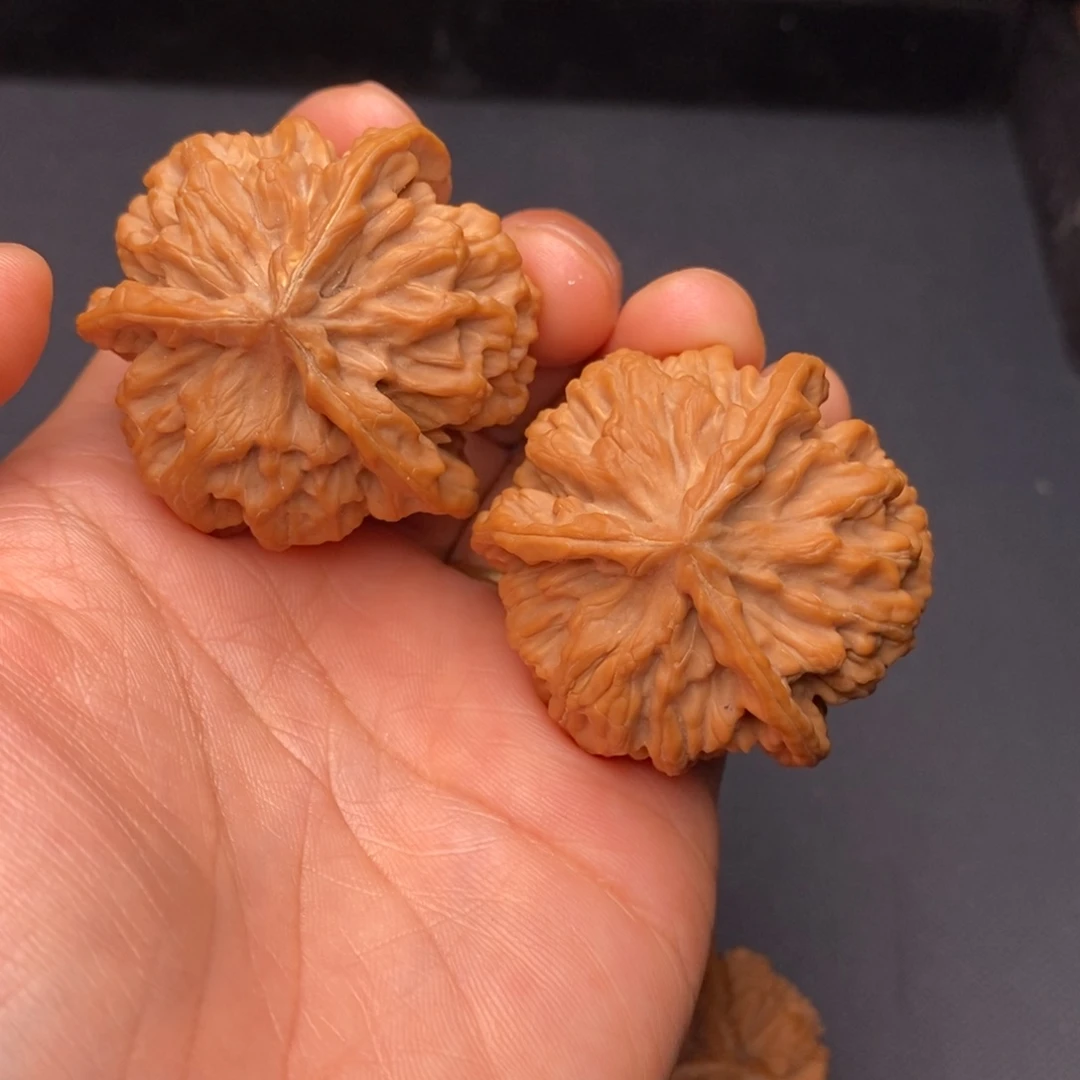 把件文玩核桃秦岭野生植物资源