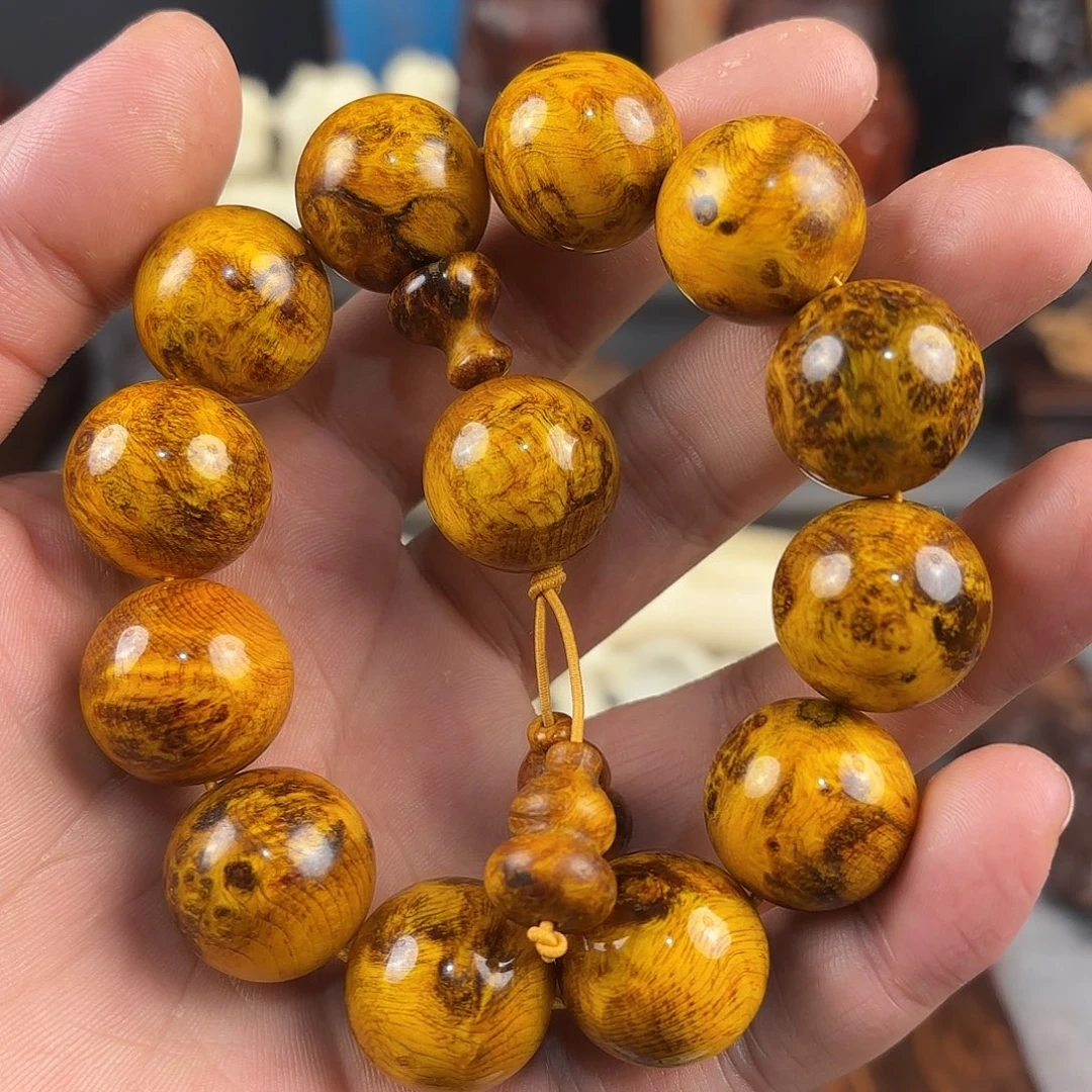 柏木（崖柏）000000000