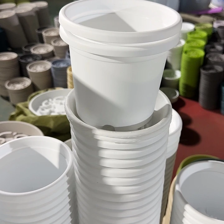 四季2#口径17白色6个带托