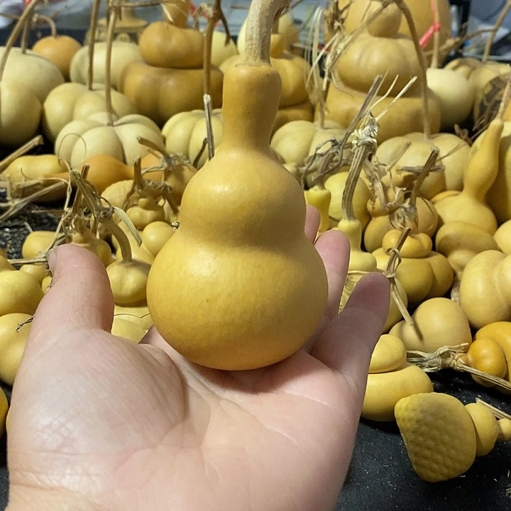 葫芦的颜色很好看