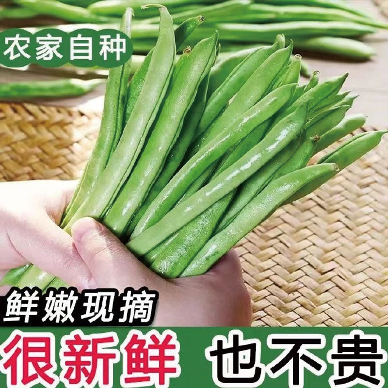 湘西代购农家新鲜四季豆