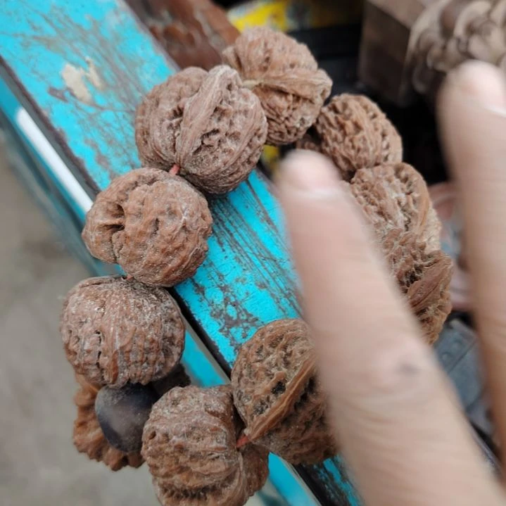 杯难**涂瓷器古文观止瓷器古文