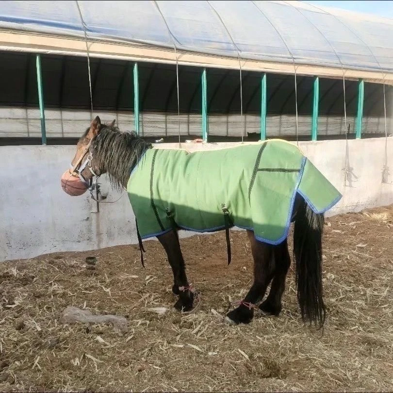 新疆西藏包邮藏式民族马衣用品帆布特色绿布马具防水御寒三层加厚