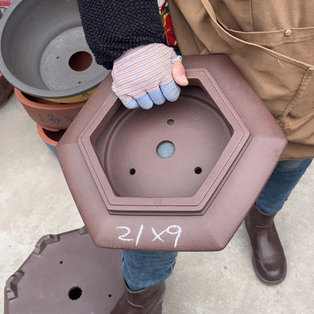 紫砂花盆盆景艺术