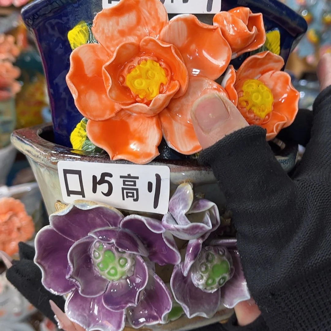 【闪购商品】红陶福利