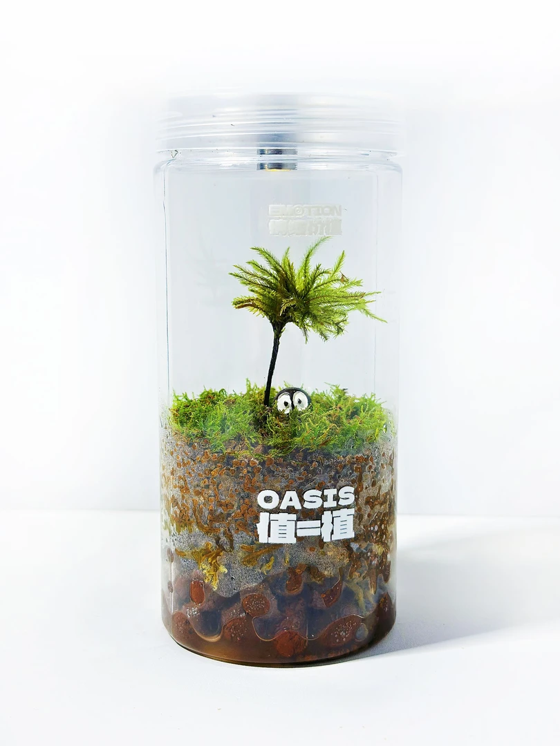 瓶子里的小树治愈系桌面微景观DIY材料包