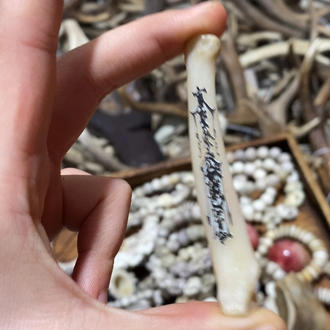 非金属骨骨骨骨骨骨