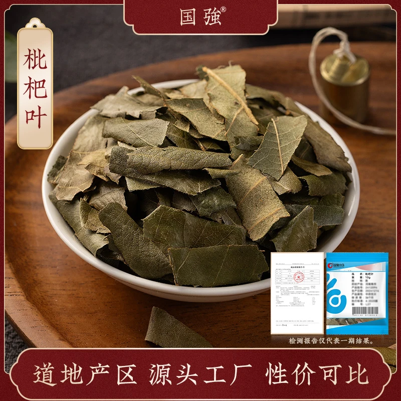 国强枇杷叶 独立包装小袋装