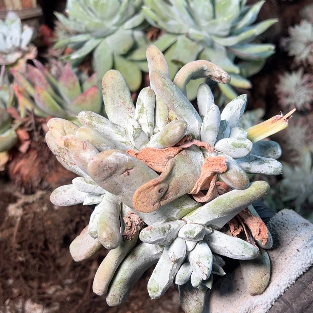 8017哈哈哈哈哈哈哈哈